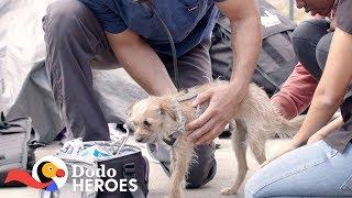 This Vets A Hero To Homeless People And Their Pets  The Dodo Heroes