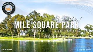 Mile Square Park I Everything is In One Place