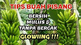 Tips Buah Pisang Glowiing Bersih Dan Mulus Tanpa Bercak