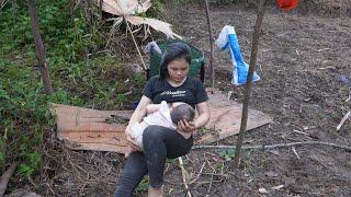 Single mother - Harvesting star fruit for sale - Star fruit salad with pig ears