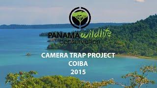 Camera Trap Project in Coiba National Park with the Institute for Wildlife Studies