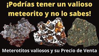 ¡Podrías tener un Valioso Meteorito y no lo sabes Meteoritos valiosos y su precio de venta