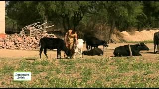 Inde Rajasthan - Echappées belles