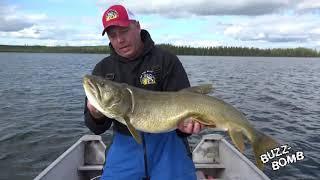 Catch Lake Trout with Buzz Bomb Jig for Lakers