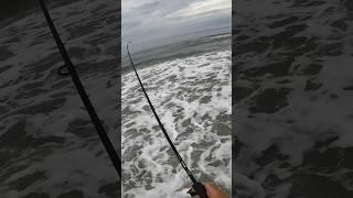 Catching Fish in the Surf = All About Location