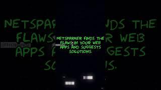 Netsparker - Automating Web Security for Peace of Mind  #VulnerabilityDetection  #Cybersecurity