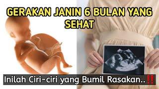 Ciri-ciri GERAKAN JANIN 6 BULAN yang Sehat  Bumil Wajib Tahu