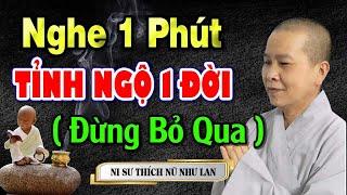 Nghe 1 Phút Giác Ngộ 1 Đời - Thấu Những Lời Này Thân Tâm An Lạc  SC. Thích Nữ Như Lan