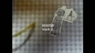 seams official visualizer