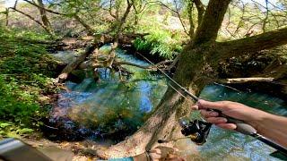 COMO Pescar en Rios Pequeños  Pesca de Trucha en México