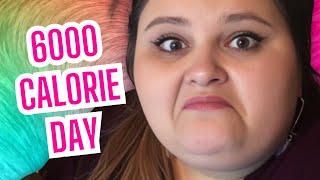 The Time Amberlynn Reid Ate 6000 Calories In One Day Reaction