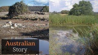 Natural sequence farming How Peter Andrews rejuvenates drought-struck land  Australian Story