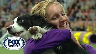 Pnk the border collie wins back-to-back titles at the 2019 WKC Masters Agility  FOX SPORTS