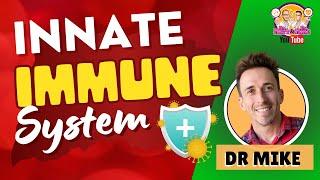 Innate Immunity  Immune System
