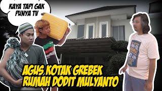 AGUS KOTAK BORONG ROYAL FOAM