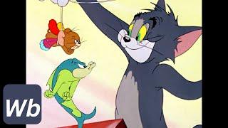 Tom & Jerry  The Fishing Cat  Classic Cartoon  @Wbkidscartoons-bn3ix