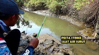 Mancing di waktu air surut di muara dengan umpan lumut