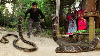 दुनिया का सबसे खतरनाक सांप किंग कोबरा आखिरकार मुरलीवाले हौसला ने कैसे रेस्क्यू किया King Cobra