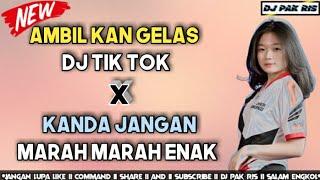 DJ PAK RIS   AMBILKAN GELAS X KANDA JANGAN MARAH MARAH TIK TOK FULL BASS TERBARU 2021