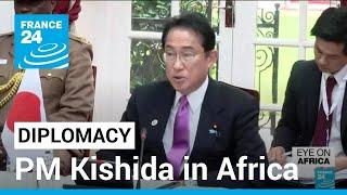 PM Kishida in Africa Japan vows to help Mozambique fight terrorism • FRANCE 24 English