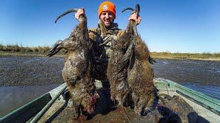 Hunting GIANT Marsh RATS for Food  Louisiana Nutria Hunting and Cooking