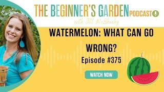 Watermelons What Can Go Wrong?