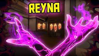 POV You Have 1000+ Hours on REYNA