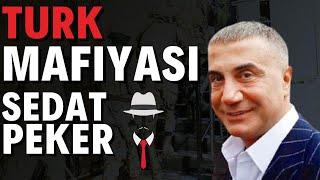 SEDAT PEKER KIM? NEGA RAJAB ERDOGANNING HUKUMATIGA QARSHI CHIQMOQDA?