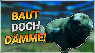 Unproduktive Biber erschweren uns ARK  ASA Gameplay deutsch