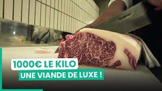 Les secrets du boeuf de Kobe la viande la plus chère au monde  750GTV