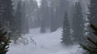 Winter Mountain Snowstorm Ambience  Calm Strong Blizzard Wind Sounds No Howling  1 HOUR 4K