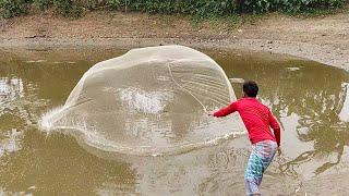 Best Net Fishing Videos - Lot Of Fish Catching Using by Cast Net in The Village Pond