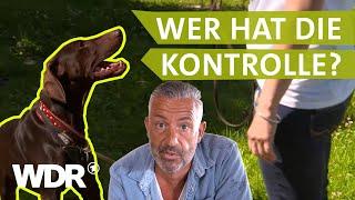 Endlich die Führung übernehmen  Hunde verstehen  S03E01  WDR