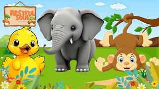 Familiar Animals - Duck Elephant Monkey - Animal Sounds