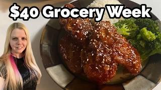 $40 Grocery Haul for 3 Adults • Realistic Budget Cooking • Dinner Ideas