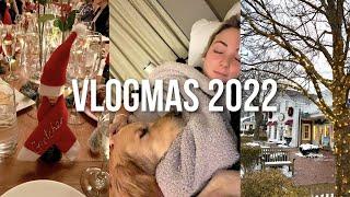 Fav Restaurant in Philly Xmas Movies + Max is sick too…  Vlogmas Day 12