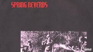 Spring Reverbs - Mon Frere Exiles