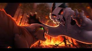 Warrior cats Unstoppable Animation Tribute