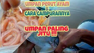 Racikan Umpan Usus Ayam Sesuai Digunakan memancing Ikan Baung Besar waktu Air Keruh