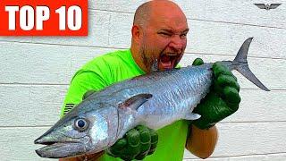 10 BEST FISH TO EAT