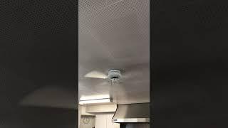 Hampton Bay Littletons 42” 4 blade ceiling fans