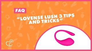 FAQ Lovense Lush 3 Tips & Tricks Review  EasyToys