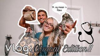 VLOG Clinical Edition & a new kitten