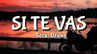 Sech Ozuna - Si Te Vas LETRA