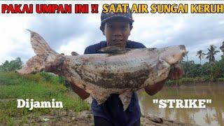 UMPAN JITU SAAT AIR SUNGAI sedang KERUH DIJAMIN STRIKE