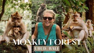 Monkey Forest Sanctuary in Ubud Bali