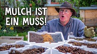 Darum ist Mulch im Garten unverzichtbar  - Tipps & Tricks zum Mulchen