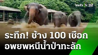 ระทึก อพยพช้าง 100 เชือก หนีน้ำป่าทะลักเเม่เเตง  4 ต.ค. 67  ข่าวเย็นไทยรัฐ