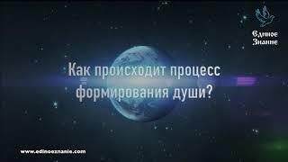 Лев Клыков -  Что такое Душа? А можно ли увидеть Душу?