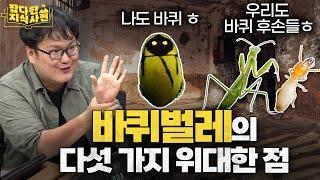 3억 5천만 년을 살아남기 위해 바퀴벌레가 시도한 혁신들🪳